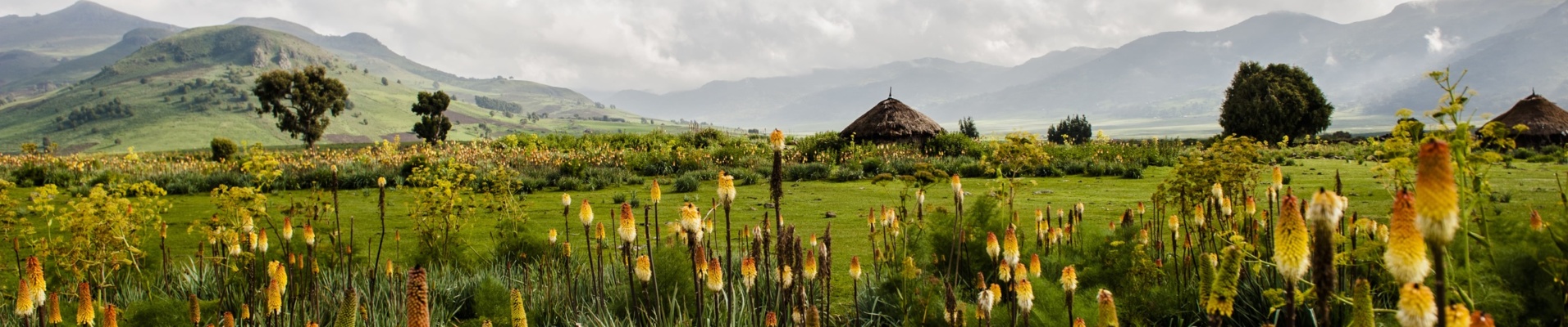 ethiopie paysage